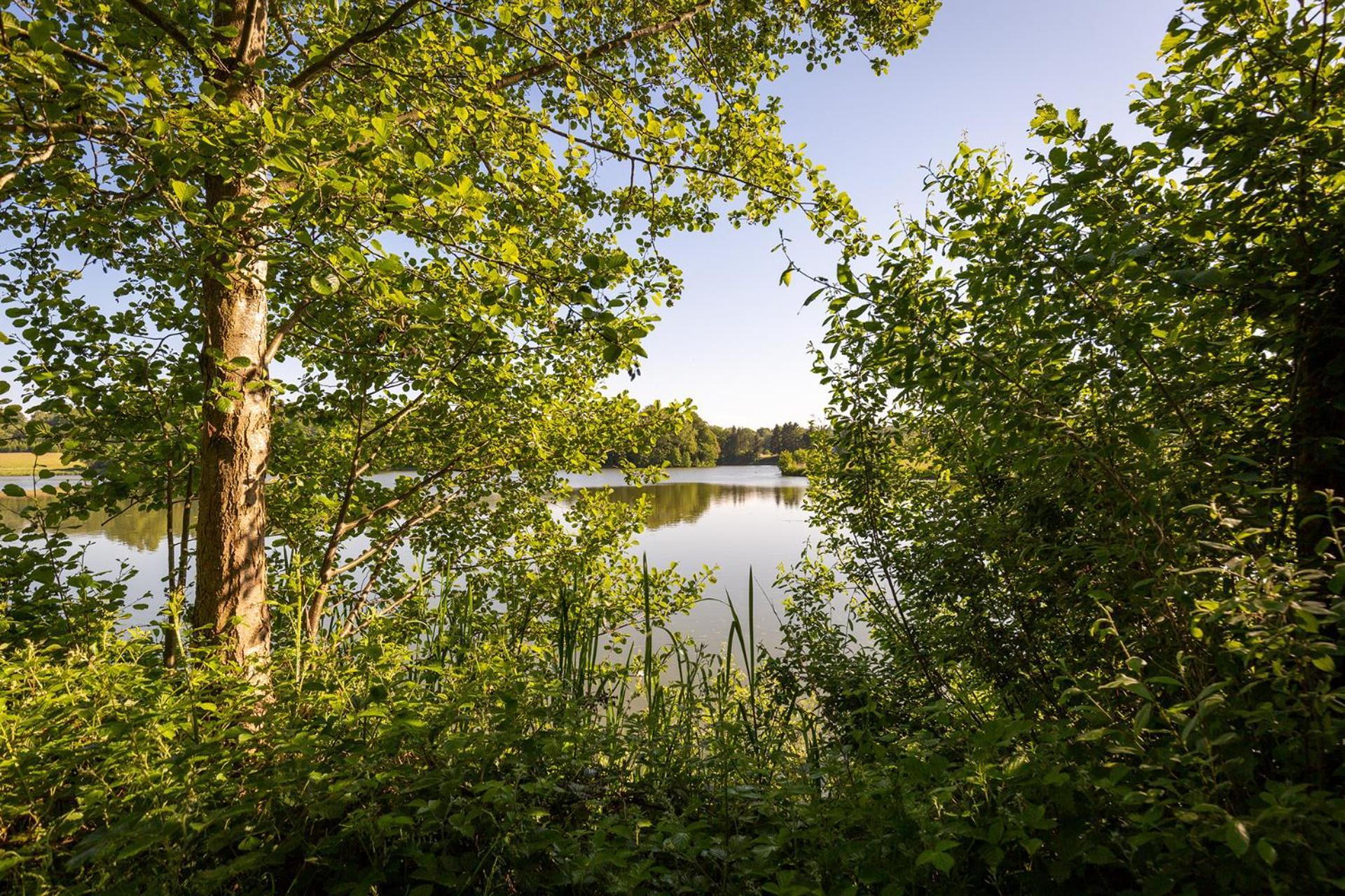Ferienhaus Am Moenchneversdorfer See Schonwalde am Bungsberg Zewnętrze zdjęcie